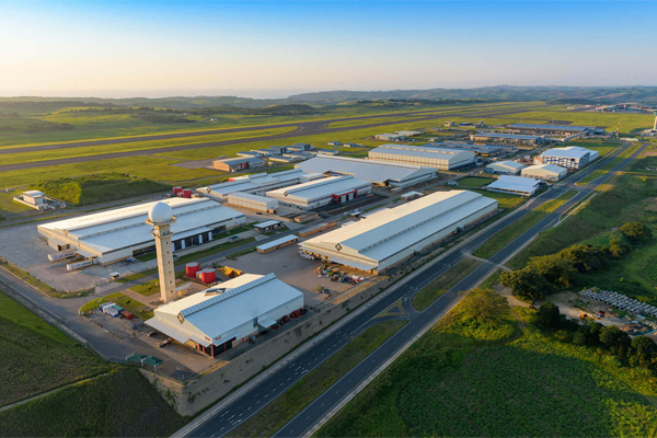 Tree Branch Group Co., Ltd